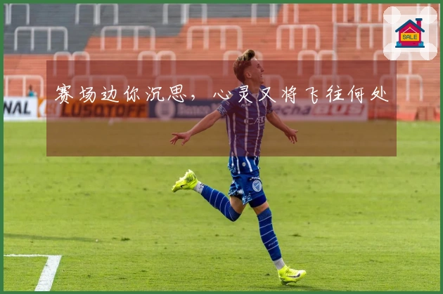 赛场边你沉思，心灵又将飞往何处