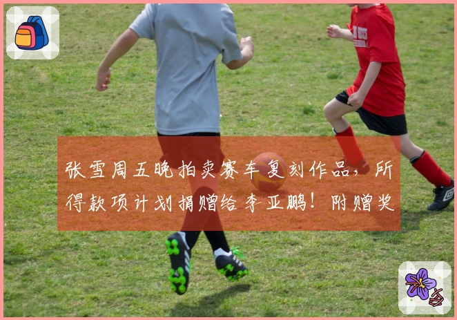 张雪周五晚拍卖赛车复刻作品，所得款项计划捐赠给李亚鹏！附赠奖杯和签名帽